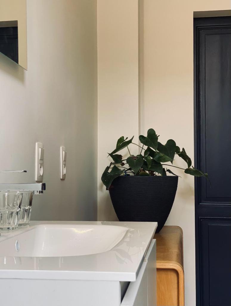 B&B Faja Lobi Gent Exteriér fotografie